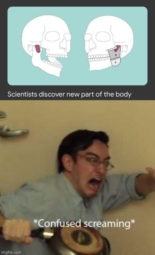 Took em long enough | image tagged in filthy frank confused scream | made w/ Imgflip meme maker