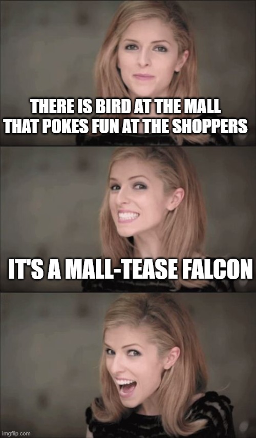 Bad Pun Anna Kendrick | THERE IS BIRD AT THE MALL THAT POKES FUN AT THE SHOPPERS; IT'S A MALL-TEASE FALCON | image tagged in memes,bad pun anna kendrick | made w/ Imgflip meme maker