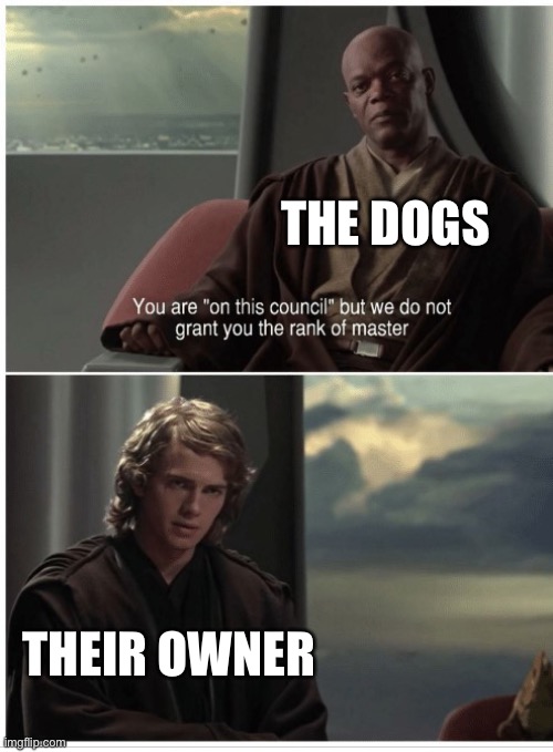 You are in this council | THE DOGS THEIR OWNER | image tagged in you are in this council | made w/ Imgflip meme maker
