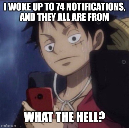 And my follow count increased, I'm assuming alts | I WOKE UP TO 74 NOTIFICATIONS, AND THEY ALL ARE FROM; WHAT THE HELL? | image tagged in luffy phone | made w/ Imgflip meme maker
