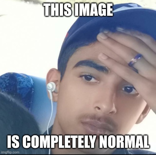 Aggravated Aarush | THIS IMAGE IS COMPLETELY NORMAL | image tagged in aggravated aarush | made w/ Imgflip meme maker