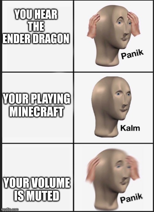 don't look outside |  YOU HEAR THE ENDER DRAGON; YOUR PLAYING MINECRAFT; YOUR VOLUME IS MUTED | image tagged in panik calm panik,minecraft | made w/ Imgflip meme maker