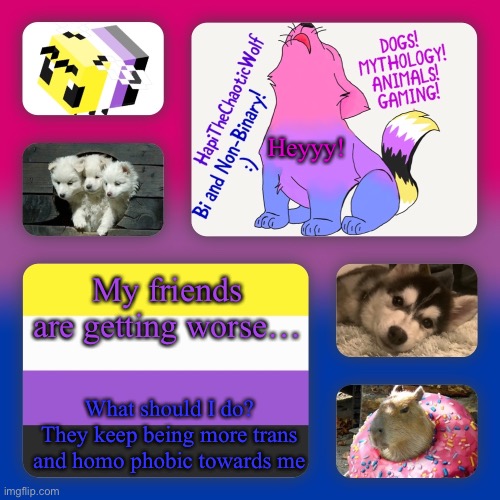 They r horrrrible bitchy’friends’ | Heyyy! My friends are getting worse…; What should I do? They keep being more trans and homo phobic towards me | image tagged in hapi s background | made w/ Imgflip meme maker