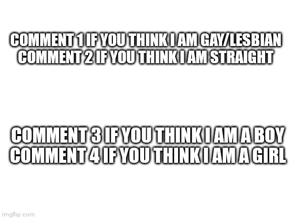 Don't look at my tagline that would cheating | COMMENT 1 IF YOU THINK I AM GAY/LESBIAN
COMMENT 2 IF YOU THINK I AM STRAIGHT; COMMENT 3 IF YOU THINK I AM A BOY
COMMENT 4 IF YOU THINK I AM A GIRL | image tagged in blank white template | made w/ Imgflip meme maker