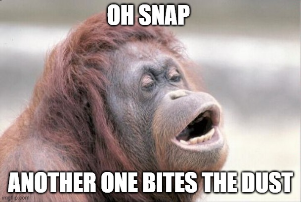 hehehehehehe | OH SNAP; ANOTHER ONE BITES THE DUST | image tagged in memes,monkey ooh | made w/ Imgflip meme maker