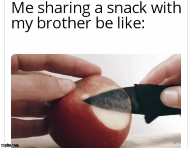 image tagged in funny memes | made w/ Imgflip meme maker