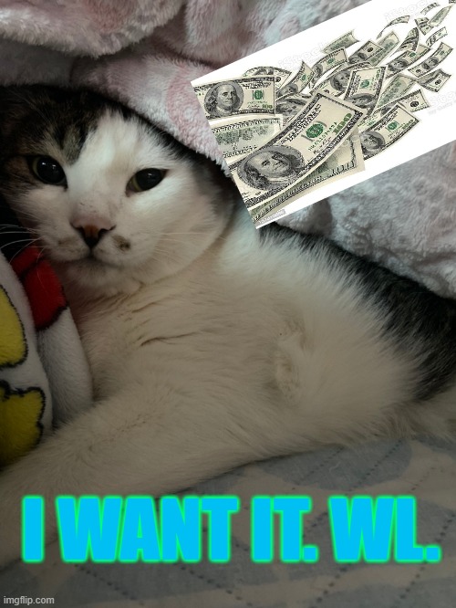 I WANT IT. WL. | made w/ Imgflip meme maker