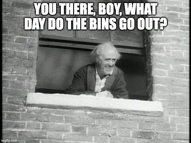 Bin day | YOU THERE, BOY, WHAT DAY DO THE BINS GO OUT? | image tagged in scrooge,merry christmas | made w/ Imgflip meme maker