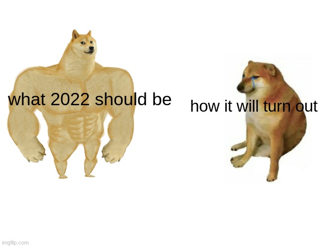 2022 be good | what 2022 should be; how it will turn out | image tagged in memes,buff doge vs cheems | made w/ Imgflip meme maker