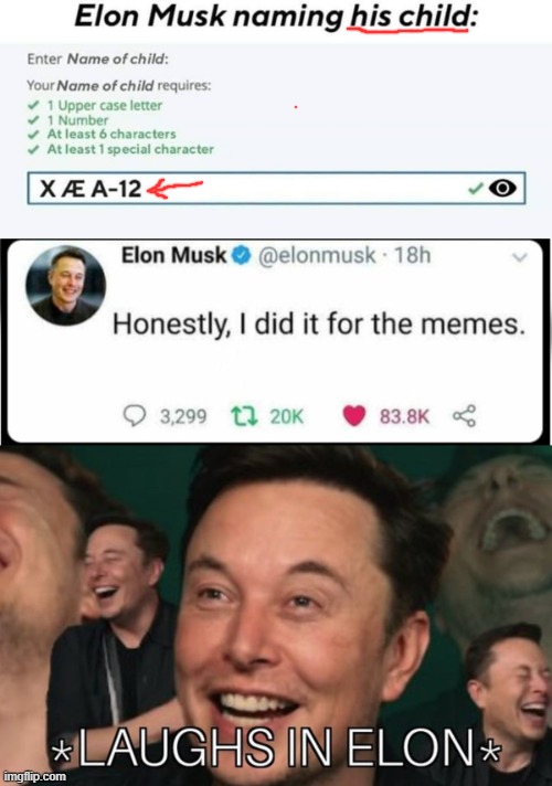 He named his kid what now? | image tagged in elon,musk,trusk,fusk,whask,susk | made w/ Imgflip meme maker