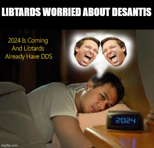 DDS is here | LIBTARDS WORRIED ABOUT DESANTIS | image tagged in dds | made w/ Imgflip meme maker