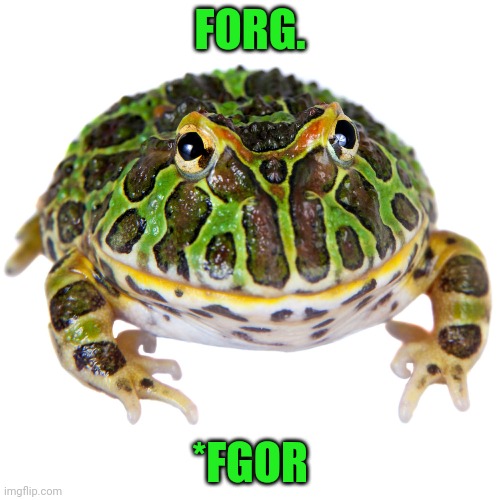 FORG. *FGOR | made w/ Imgflip meme maker