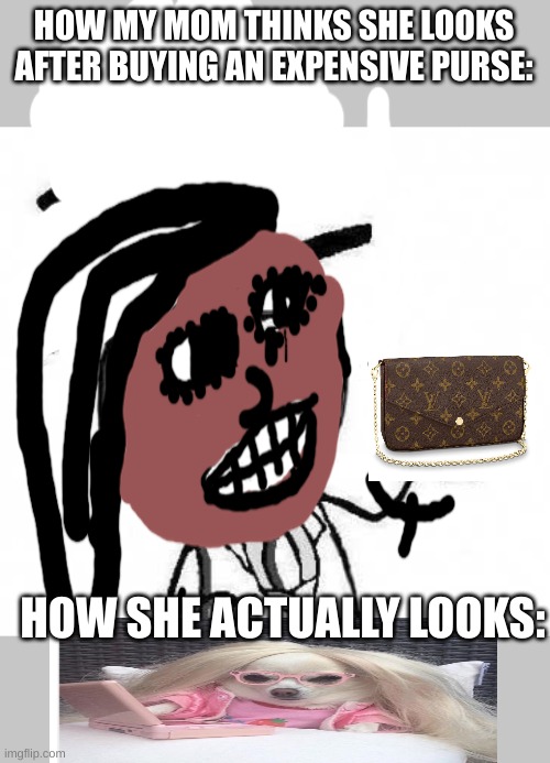 [No Title] |  HOW MY MOM THINKS SHE LOOKS AFTER BUYING AN EXPENSIVE PURSE:; HOW SHE ACTUALLY LOOKS: | image tagged in fancy meme | made w/ Imgflip meme maker