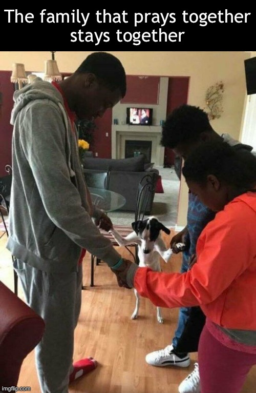 Dog father, who art in heaven… | The family that prays together
stays together | image tagged in funny memes,prayer | made w/ Imgflip meme maker
