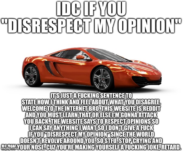 Idc if you disrespect my opinion | image tagged in idc if you disrespect my opinion | made w/ Imgflip meme maker