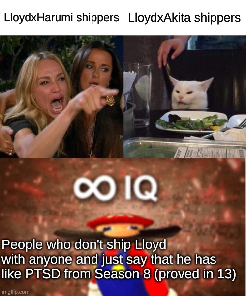 Guys. Stop. | LloydxHarumi shippers; LloydxAkita shippers; People who don't ship Lloyd with anyone and just say that he has like PTSD from Season 8 (proved in 13) | image tagged in memes,woman yelling at cat,infinite iq,ninjago,toxic,shipping | made w/ Imgflip meme maker