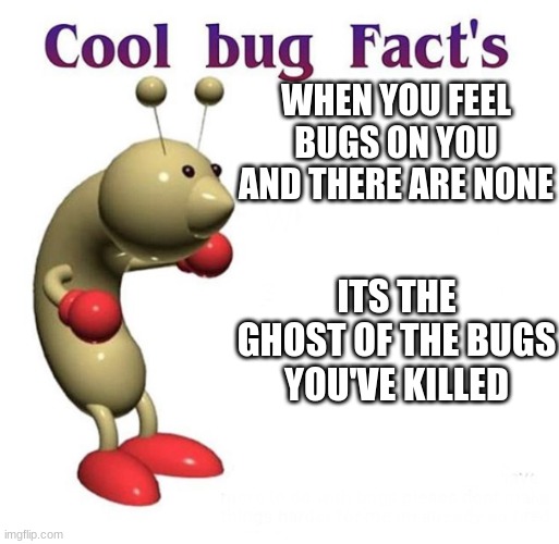 Cool Bug Facts | WHEN YOU FEEL BUGS ON YOU AND THERE ARE NONE; ITS THE GHOST OF THE BUGS YOU'VE KILLED | image tagged in cool bug facts | made w/ Imgflip meme maker