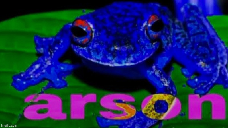 Arson Frog | image tagged in arson frog,when the divorced mother demands custody | made w/ Imgflip meme maker