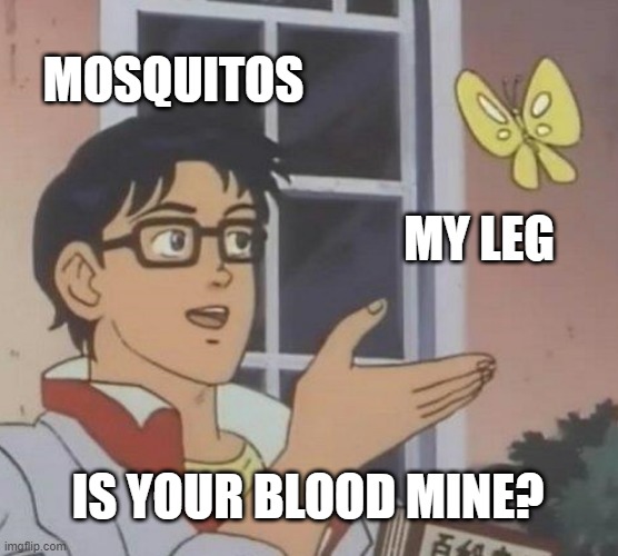 I hate mosquitos | MOSQUITOS; MY LEG; IS YOUR BLOOD MINE? | image tagged in memes,is this a pigeon | made w/ Imgflip meme maker