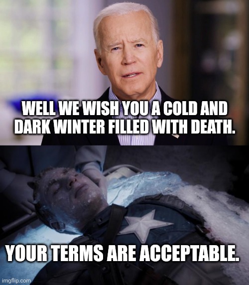 YOUR TERMS ARE ACCEPTABLE. WELL WE WISH YOU A COLD AND DARK WINTER FILLED WITH DEATH. | image tagged in joe biden 2020,captain america icebucketchallenge | made w/ Imgflip meme maker