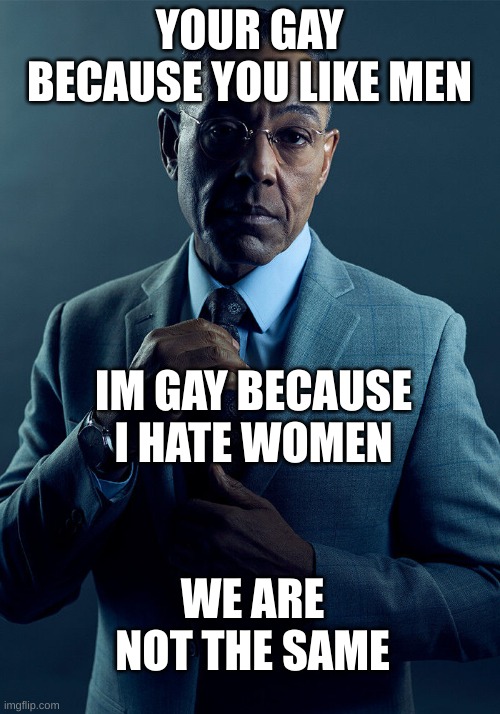 met some guy in vr chat saying this | YOUR GAY BECAUSE YOU LIKE MEN; IM GAY BECAUSE I HATE WOMEN; WE ARE NOT THE SAME | image tagged in gus fring we are not the same | made w/ Imgflip meme maker