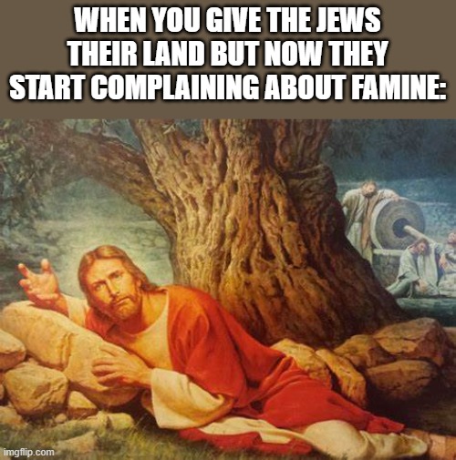 Bro I just gave you a ton of land for free | WHEN YOU GIVE THE JEWS THEIR LAND BUT NOW THEY START COMPLAINING ABOUT FAMINE: | image tagged in wtf bro | made w/ Imgflip meme maker