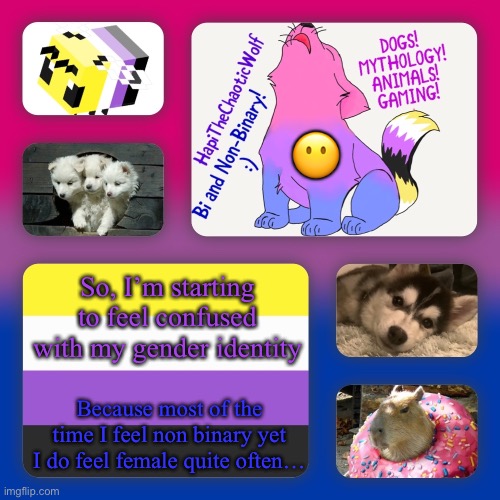 ……. I mean, what would it be? | 😶; So, I’m starting to feel confused with my gender identity; Because most of the time I feel non binary yet I do feel female quite often… | image tagged in hapi s background | made w/ Imgflip meme maker
