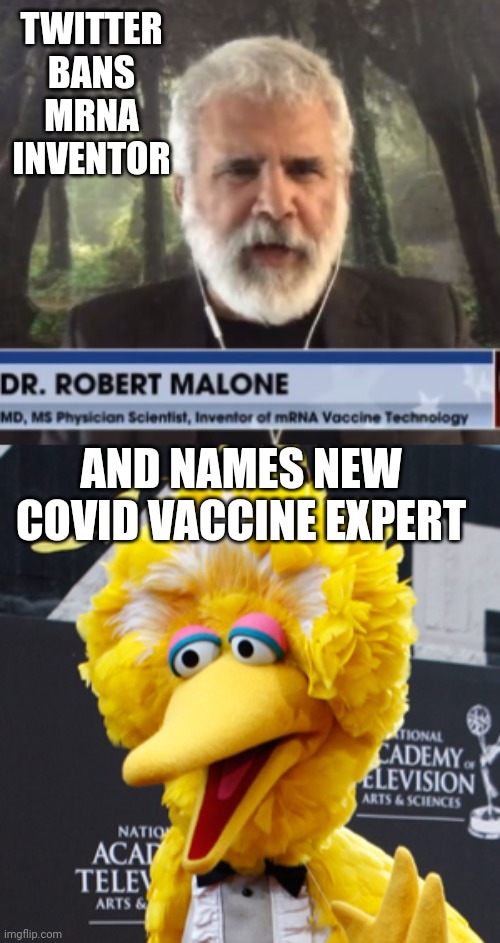 TWITTER BANS MRNA INVENTOR; AND NAMES NEW COVID VACCINE EXPERT | image tagged in memes,big bird | made w/ Imgflip meme maker