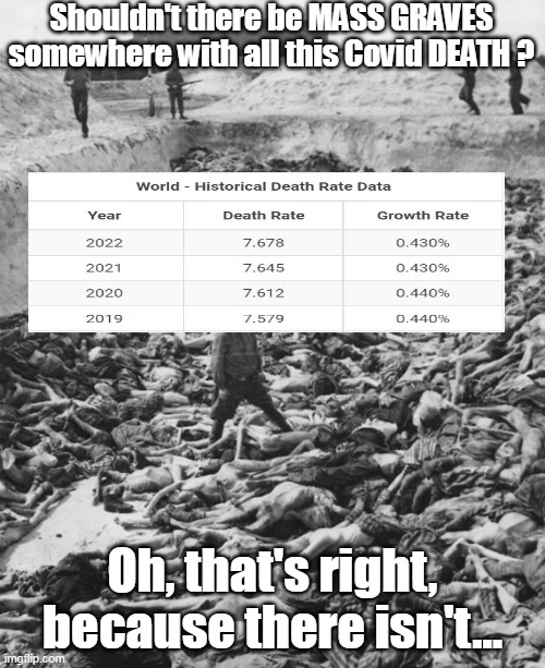 You'd think they are BULL DOZING em in... | Shouldn't there be MASS GRAVES somewhere with all this Covid DEATH ? Oh, that's right, because there isn't... | image tagged in memes | made w/ Imgflip meme maker