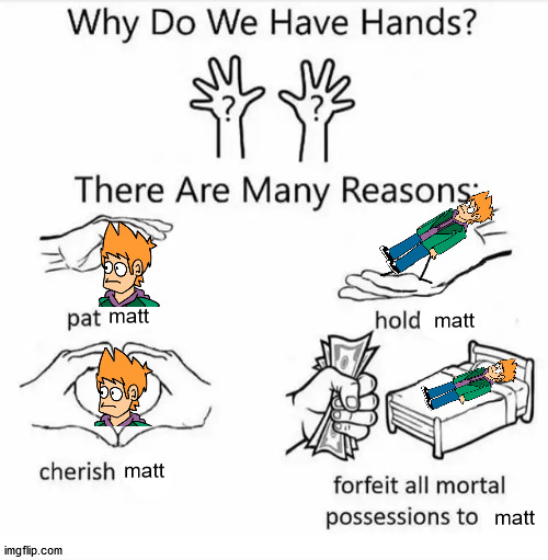 Why do we have hands? (all blank) | matt; matt; matt; matt | image tagged in why do we have hands all blank | made w/ Imgflip meme maker