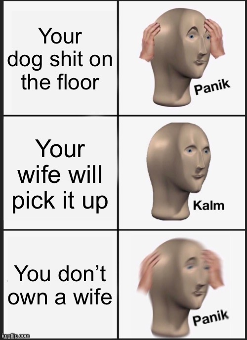 Wife? | Your dog shit on the floor; Your wife will pick it up; You don’t own a wife | image tagged in memes,panik kalm panik | made w/ Imgflip meme maker