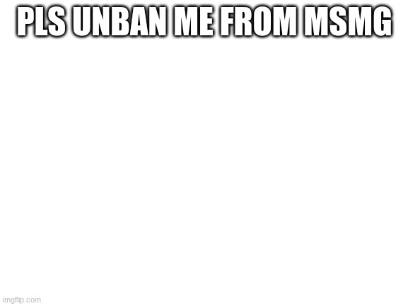 Blank White Template | PLS UNBAN ME FROM MSMG | image tagged in blank white template | made w/ Imgflip meme maker