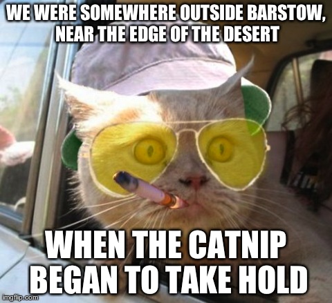 Fear And Loathing Cat | WE WERE SOMEWHERE OUTSIDE BARSTOW, NEAR THE EDGE OF THE DESERT WHEN THE CATNIP BEGAN TO TAKE HOLD | image tagged in memes,fear and loathing cat | made w/ Imgflip meme maker