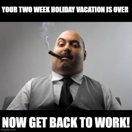 Not the words you want to hear from your boss |  YOUR TWO WEEK HOLIDAY VACATION IS OVER; NOW GET BACK TO WORK! | image tagged in memes,scumbag boss | made w/ Imgflip meme maker