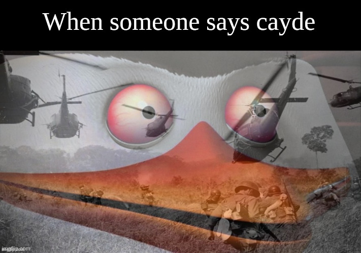 ptsd skipper | When someone says cayde | image tagged in ptsd skipper | made w/ Imgflip meme maker