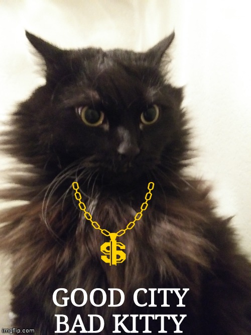 Good City Bad Kitty | GOOD CITY
BAD KITTY | image tagged in cats | made w/ Imgflip meme maker