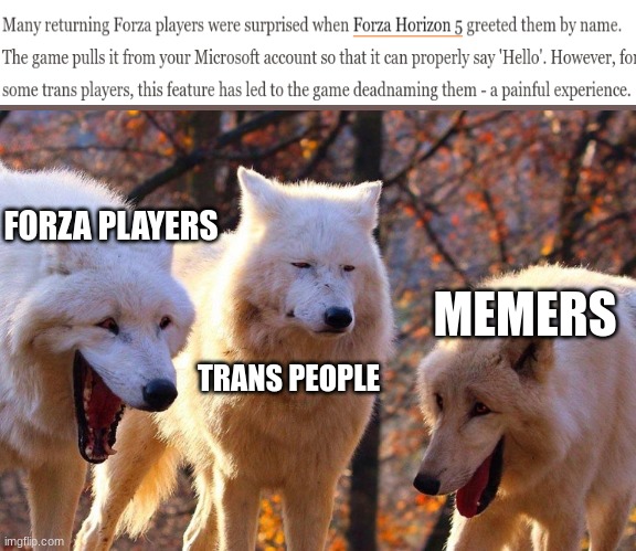 lol |  FORZA PLAYERS; MEMERS; TRANS PEOPLE | image tagged in 2/3 wolves laugh | made w/ Imgflip meme maker