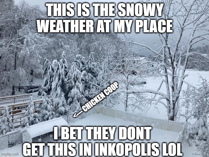 THE POWER WAS OUT FOR 4 HOURS | THIS IS THE SNOWY WEATHER AT MY PLACE; <--- CHICKEN COOP; I BET THEY DONT GET THIS IN INKOPOLIS LOL | made w/ Imgflip meme maker