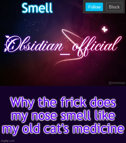 Obsidian 3.14 | Smell; Why the frick does my nose smell like my old cat's medicine | image tagged in obsidian 3 14 | made w/ Imgflip meme maker