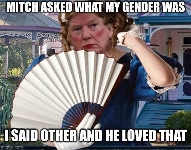 Southern Belle Trumpette | MITCH ASKED WHAT MY GENDER WAS; I SAID OTHER AND HE LOVED THAT | image tagged in southern belle trumpette | made w/ Imgflip meme maker