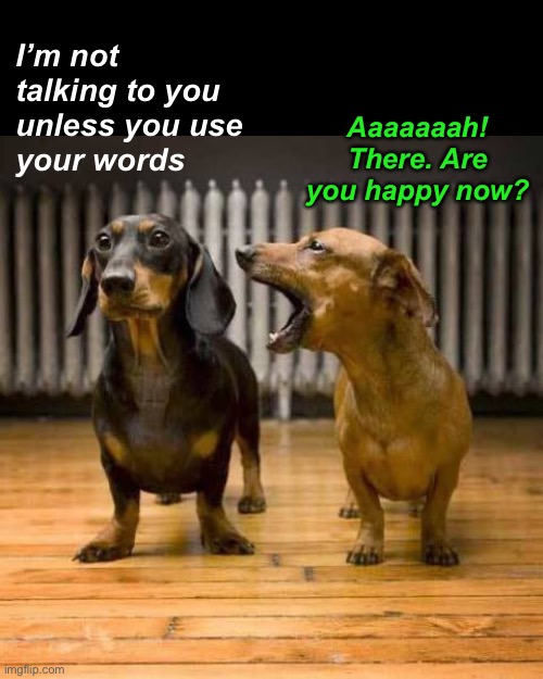 When I’m Flipping a Biscuit and He’s Totally Calm | I’m not talking to you
unless you use
your words; Aaaaaaah! There. Are you happy now? | image tagged in funny memes,funny dog memes,relationships | made w/ Imgflip meme maker