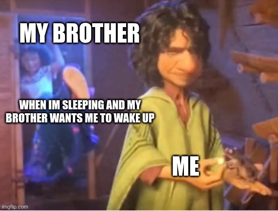 my at my dad's house tho | MY BROTHER; WHEN IM SLEEPING AND MY BROTHER WANTS ME TO WAKE UP; ME | image tagged in encanto meme | made w/ Imgflip meme maker