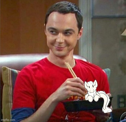 Sheldon Chinese Food | image tagged in sheldon chinese food | made w/ Imgflip meme maker
