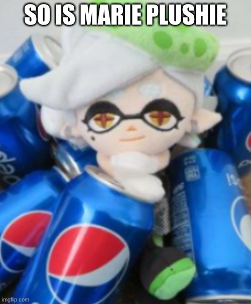 marie pepsi | SO IS MARIE PLUSHIE | image tagged in marie pepsi | made w/ Imgflip meme maker