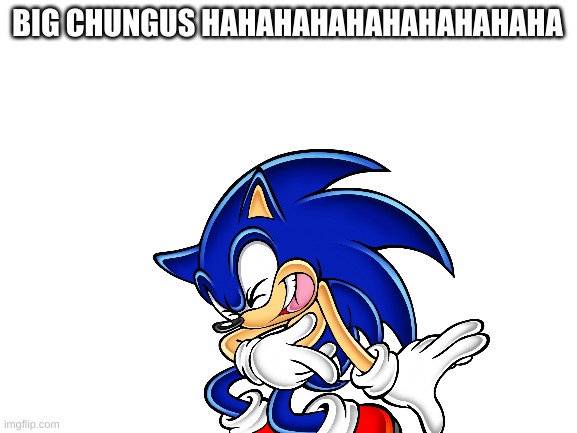 I didn't tell you about... | BIG CHUNGUS HAHAHAHAHAHAHAHAHAHA | image tagged in sonic the hedgehog,gaming,big chungus,memes | made w/ Imgflip meme maker