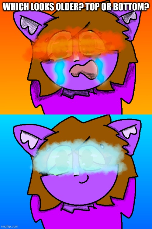 ?? | WHICH LOOKS OLDER? TOP OR BOTTOM? | made w/ Imgflip meme maker