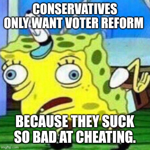 triggerpaul | CONSERVATIVES ONLY WANT VOTER REFORM; BECAUSE THEY SUCK SO BAD AT CHEATING. | image tagged in triggerpaul | made w/ Imgflip meme maker