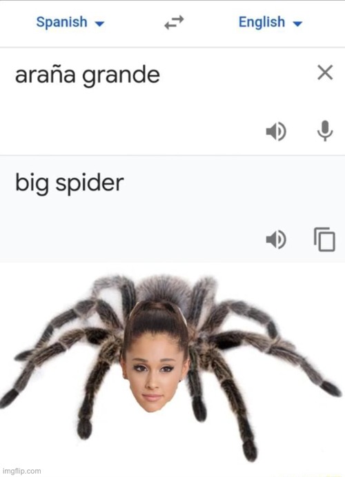 Look it up, trust me! | image tagged in spider,ariana grande,big spider,hahaha | made w/ Imgflip meme maker