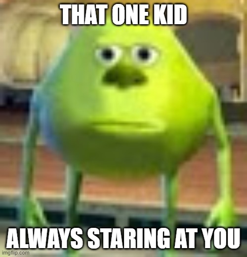 Sully Wazowski | THAT ONE KID; ALWAYS STARING AT YOU | image tagged in sully wazowski | made w/ Imgflip meme maker