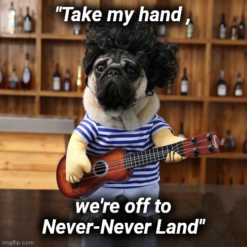 Ukelele Pug | "Take my hand , we're off to Never-Never Land" | image tagged in ukelele pug | made w/ Imgflip meme maker